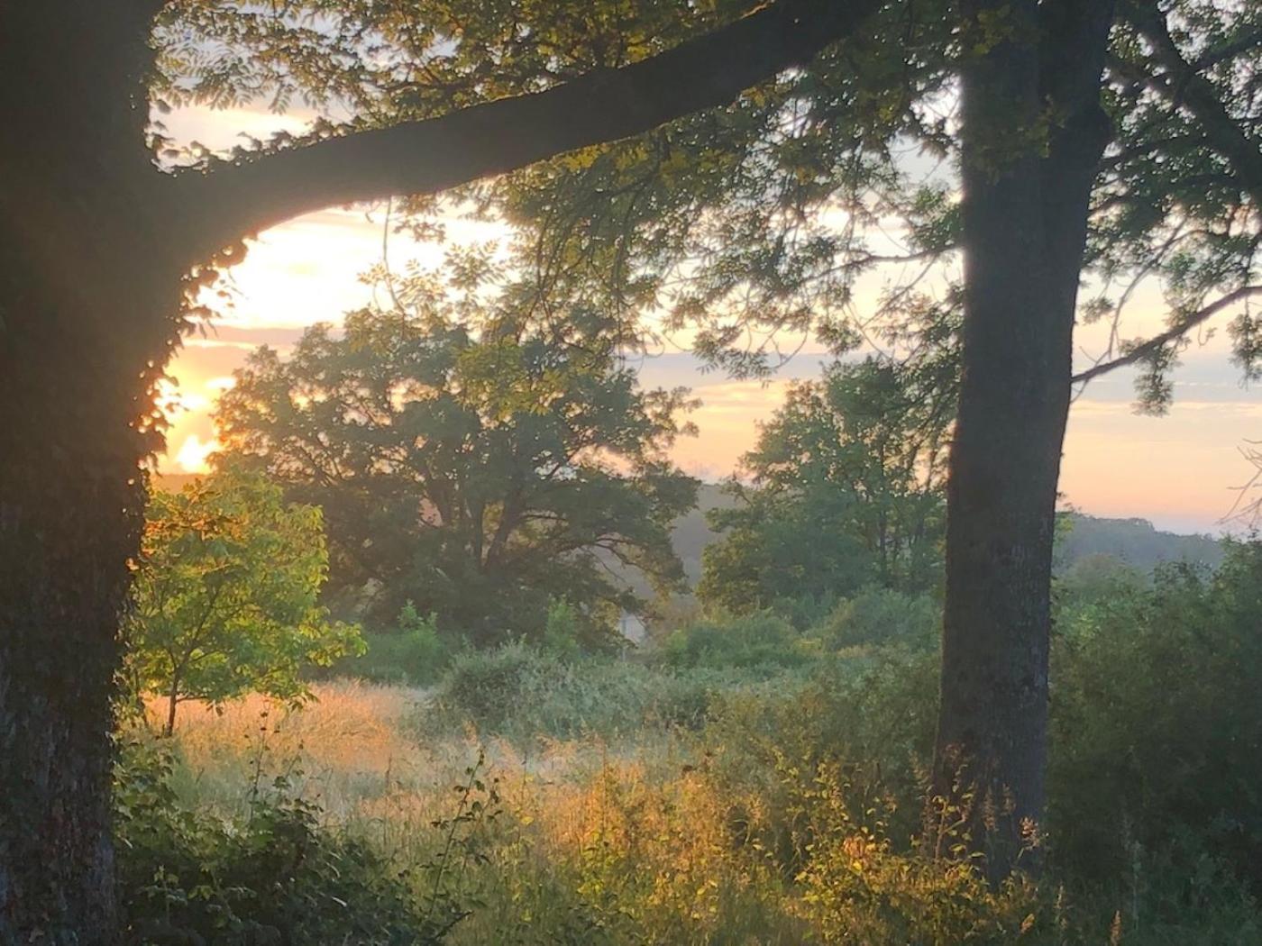 Domaine La Faix, Gite La Chouette Saint-Plaisir Zewnętrze zdjęcie