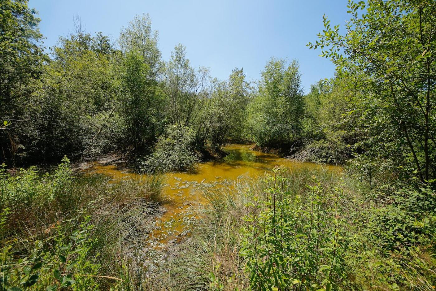 Domaine La Faix, Gite La Chouette Saint-Plaisir Zewnętrze zdjęcie