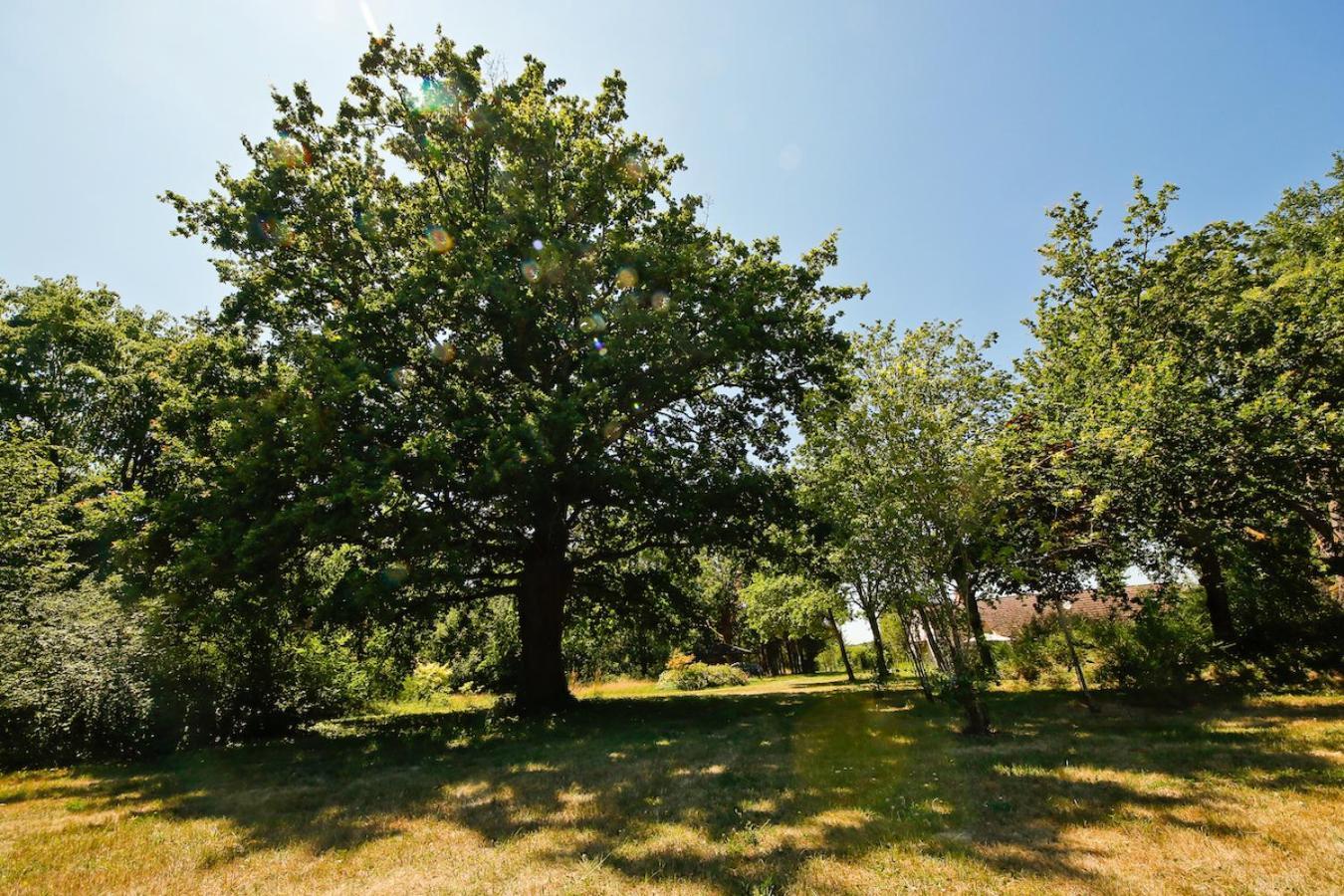 Domaine La Faix, Gite La Chouette Saint-Plaisir Zewnętrze zdjęcie