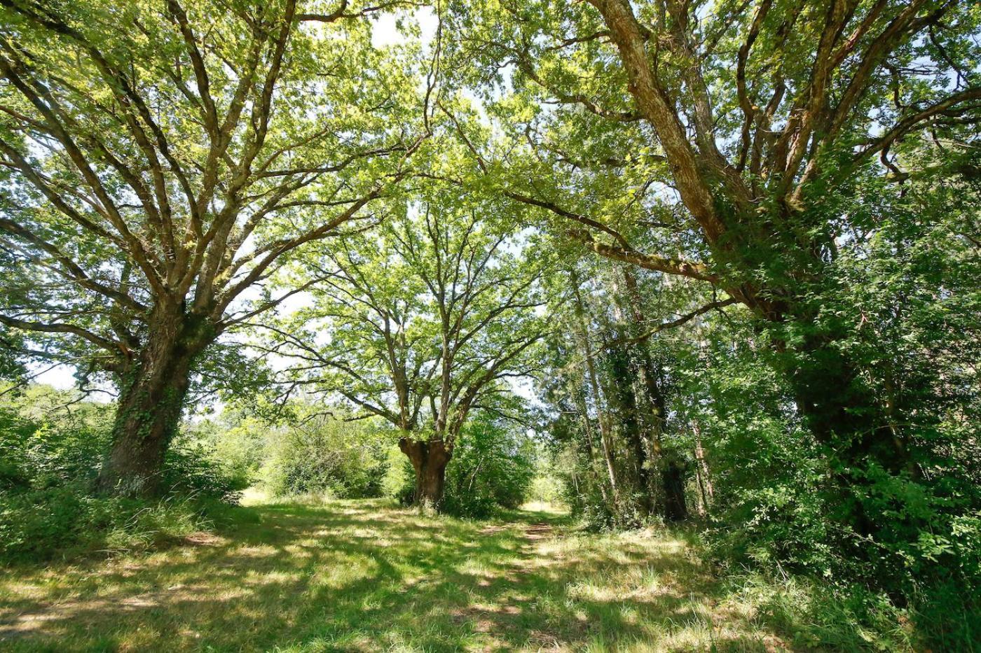 Domaine La Faix, Gite La Chouette Saint-Plaisir Zewnętrze zdjęcie