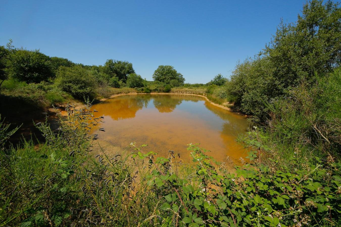 Domaine La Faix, Gite La Chouette Saint-Plaisir Zewnętrze zdjęcie